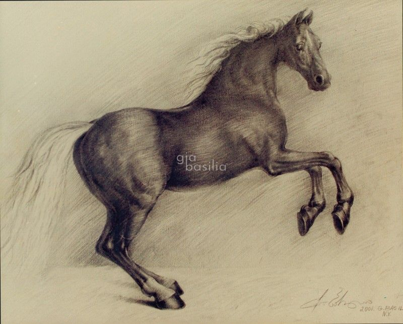 Gia Basilia Fine Art